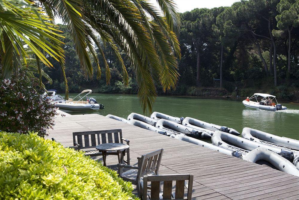 Pierre & Les Rives De Cannes